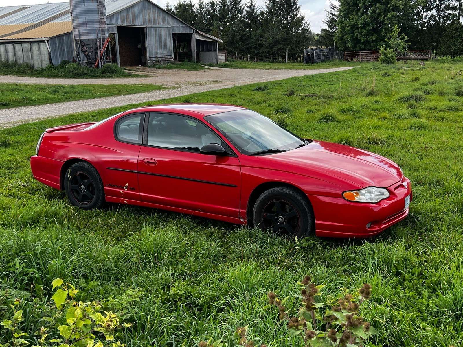 Red Monte Carlo in grass, used as the about-page hero image.