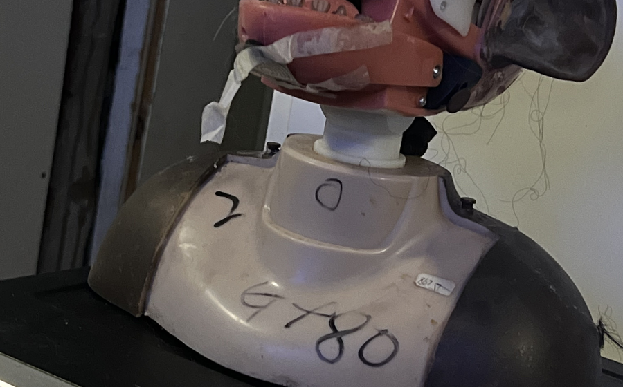 Constitution preview