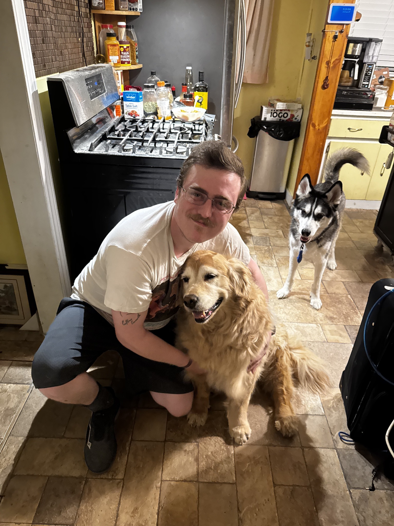 Dylan with a golden retriever and a husky.