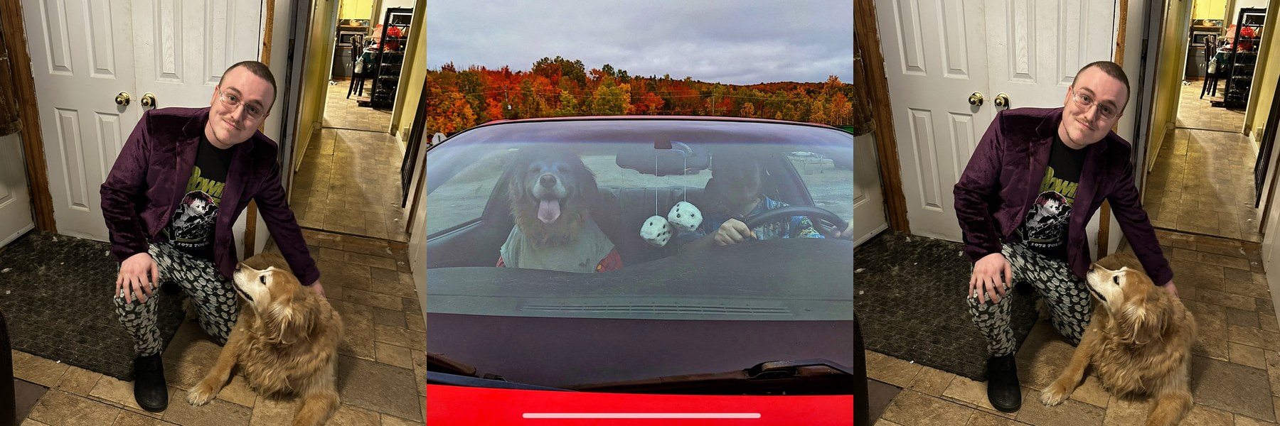 Dogs triptych (lab companions)