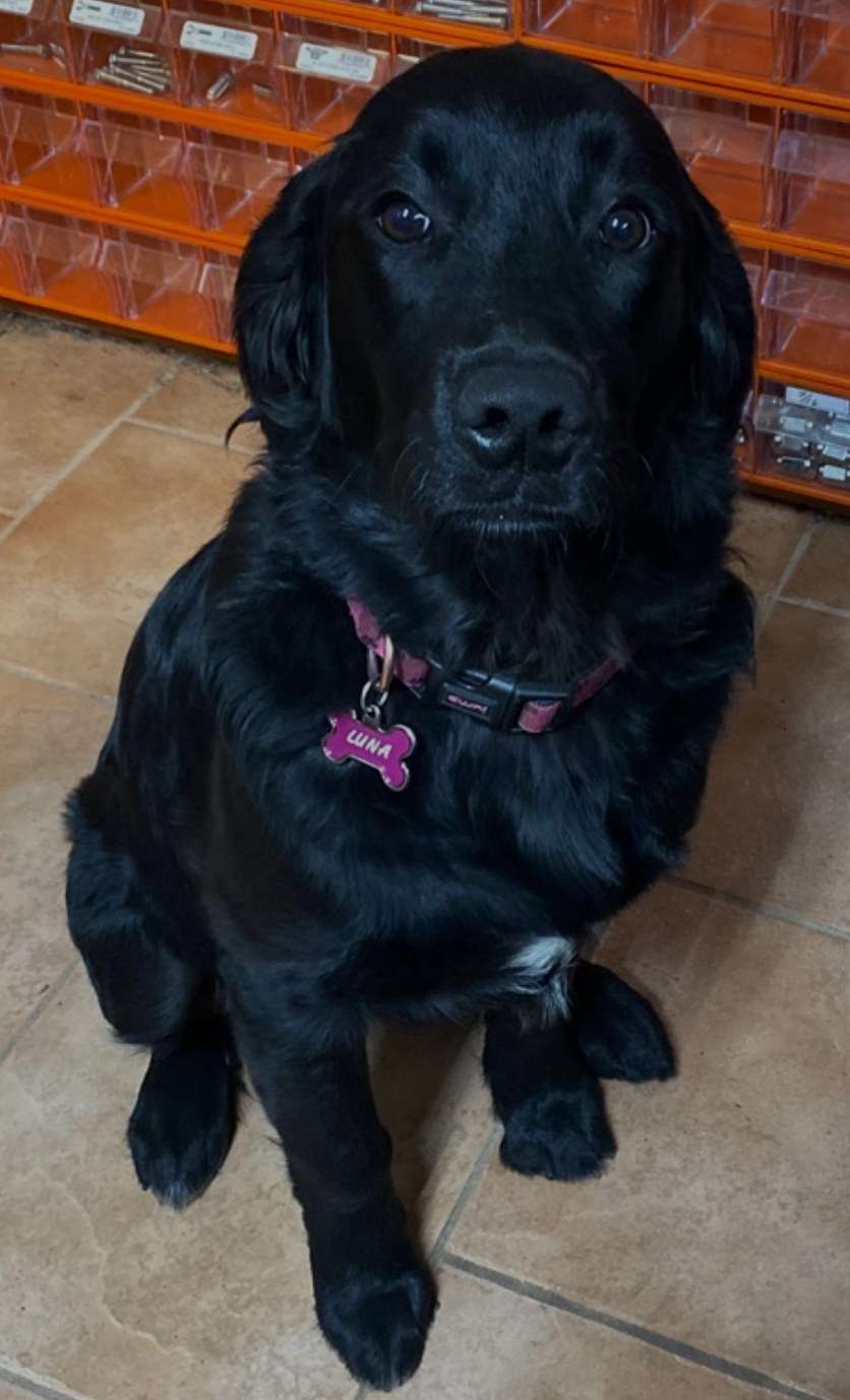 Luna