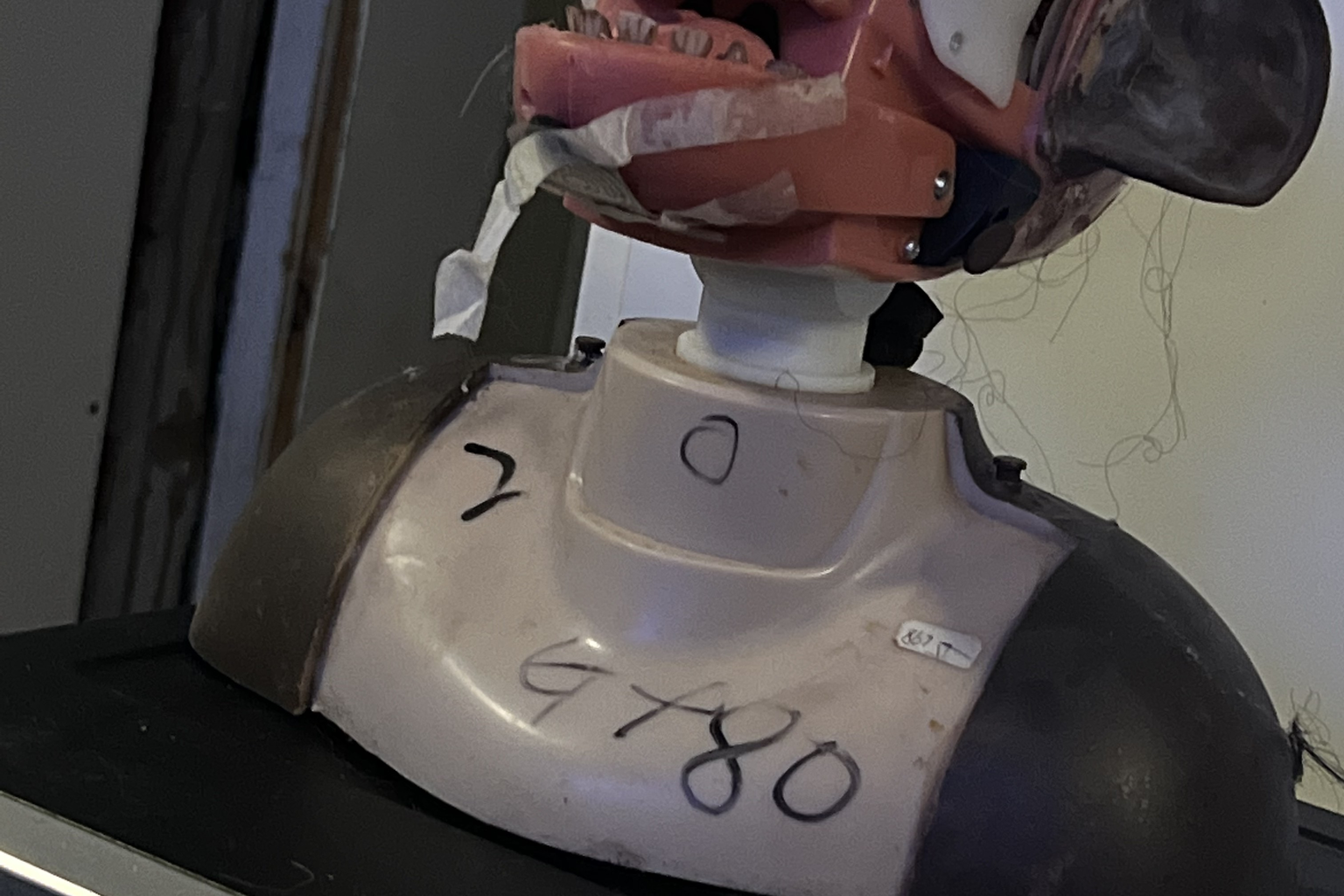 Monkey‑Head‑Project preview