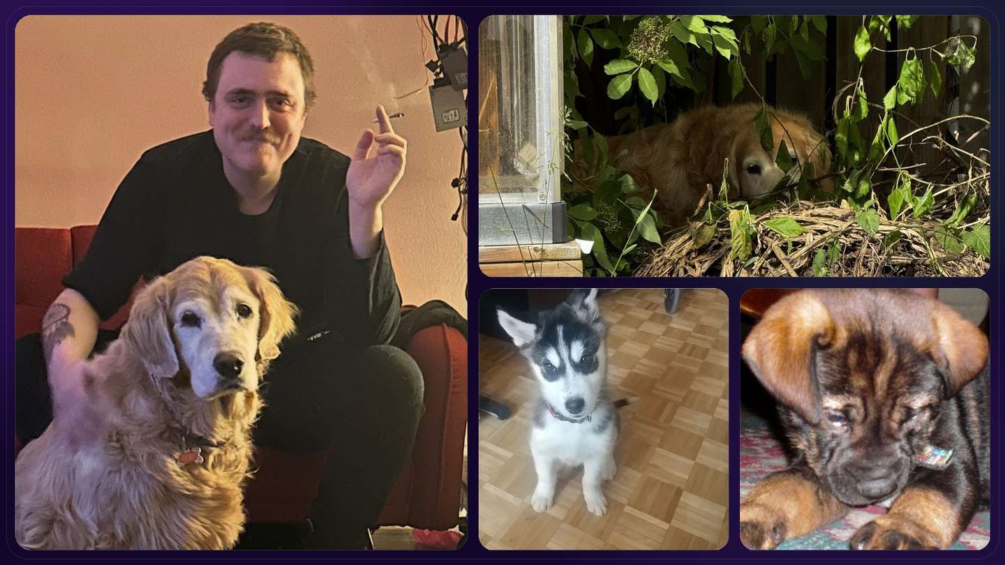 Warm real-photo collage of Lexi, Studio, and a puppy for the Dogs page.